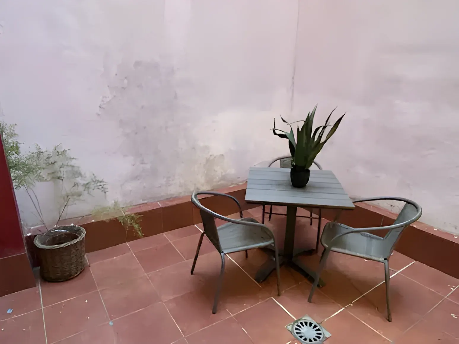 Patio interior con mesa y plantas